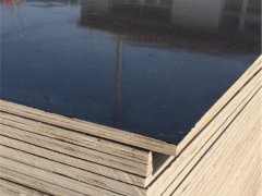 廠家直銷施工專用建筑模板、高硬度黑模板現貨批零圖2